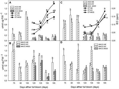 Phytohormone Interaction <mark class="highlighted">Mod</mark>ulating Fruit Responses to Photooxidative and Heat Stress on Apple (Malus domestica Borkh.)